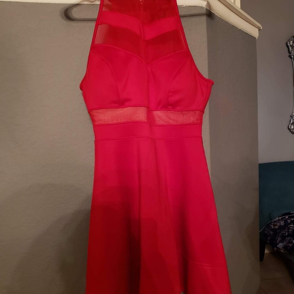 Windsor Red mesh mini dress